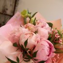 소유플레르 이미지