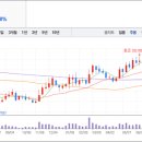 파라다이스 이미지