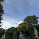 창하농장 | 태국 방콕 파타야 가족여행, 방콕비오비투어 내돈내산 솔직 여행후기