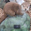 서울대공원 이미지