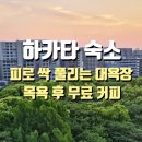 세븐일레븐 둔포로점 | 후쿠오카 하카타역 가성비 숙소 추천 | 호텔 홋케클럽 하카타 대욕장 및 무료 커피 후기