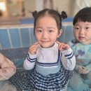 솜팡 Daum카페