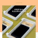 티지인터내셔널 이미지