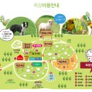 우리사슴목장 이미지