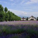 타로 실전리딩반 이미지