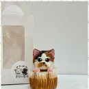 정성스럽개 이미지