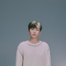 카이트