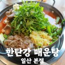 일산 보양식 맛집 한탄강매운탕 일산본점 참게 메기 매운탕 후기
