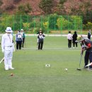 게이트볼 노컷뉴스