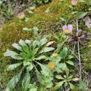 약수골 농장 이미지