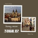 w17. 동유럽 6박 8일 신혼여행 업체 예약 조이허니문 계약 후기 (with 컬러인 웨딩 문나래플래너)