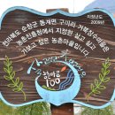 구미(거북장수)마을 이미지