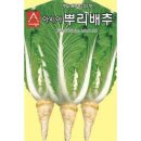 씨앗 이미지