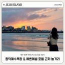 에벤에셀기획 | 동쪽 2박 3일 일정 1일차 (1) : 함덕해수욕장, 에벤에셀 호텔 근처 놀거리 올리브영 봉봉스테이션 헬로...