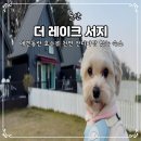 더 레이크 서지 이미지