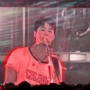 리라소프트 | 25.8.넷째주(블챌시작,리라자수,데식 고양콘)