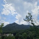 다기쁨카페 이미지