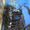 삼례토종닭 | [삼례맛집] 오리주물럭 맛집! - 삼례산청가든 재방문!