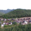 금천면사무소 이미지