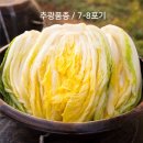 추광농장 Daum카페