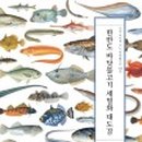 순자집곰치국 이미지
