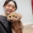 미소코비치잡화점 이미지