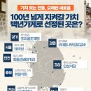백년가게 이미지