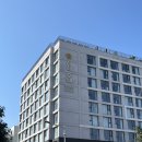 천지연호텔 | 제주 서귀포 가성비호텔 신신호텔 천지연 혼자 여행 숙박 추천 후기