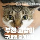 중동 우리아이 동물병원 이미지