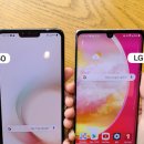 오로라핑크 이미지