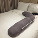 비스타리조트(호스텔) | 제주 태교여행 1편｜더 시에나 리조트 비스타 스위트 객실 &amp; 야경 기록(3월)