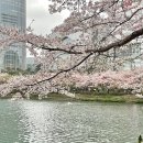[잠실 토나리우동] 텐붓가케우동 안심카츠 웨이팅 솔직후기