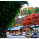 홍룡폭포(홍룡사) 이미지