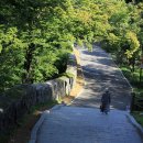 힐링 다도여행 이미지