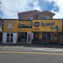 야돼지다 이미지