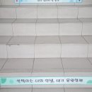 나비플라워제주 이미지