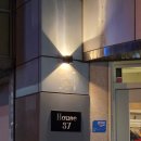 37 | 전북대 "하우스37"_볼로네제파스타, 부채살 찹스테이크, 마르게리따 피자 L