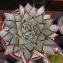 원종농장 이미지