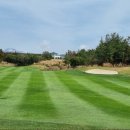 롯데스카이힐제주CC 이미지