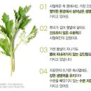 쑥향기한의원 이미지