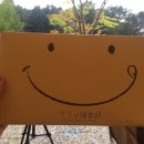 포레스트홀리데이스 이미지