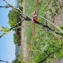 중말농장 이미지