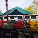 Melbourne Market(멜버른 마켓) 이미지