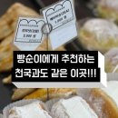 브레드 칸 이미지
