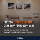 전이야 | 고양이 유선종양 수술, 전이 항암치료 후기