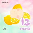 임신중기 기록) 임신중기 해야할 일 : 영양제, 만삭스튜디오예약, 태교여행, 임당검사, 베페, 출산용품...