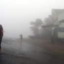 배내배내 이미지