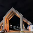 대학로(유성-2) 네이버블로그