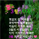 디지털 사진편집 네이버블로그