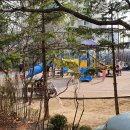 창문여자고등학교 이미지